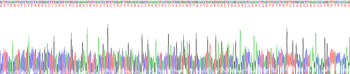 睫状神经营养因子(CNTF)重组蛋白