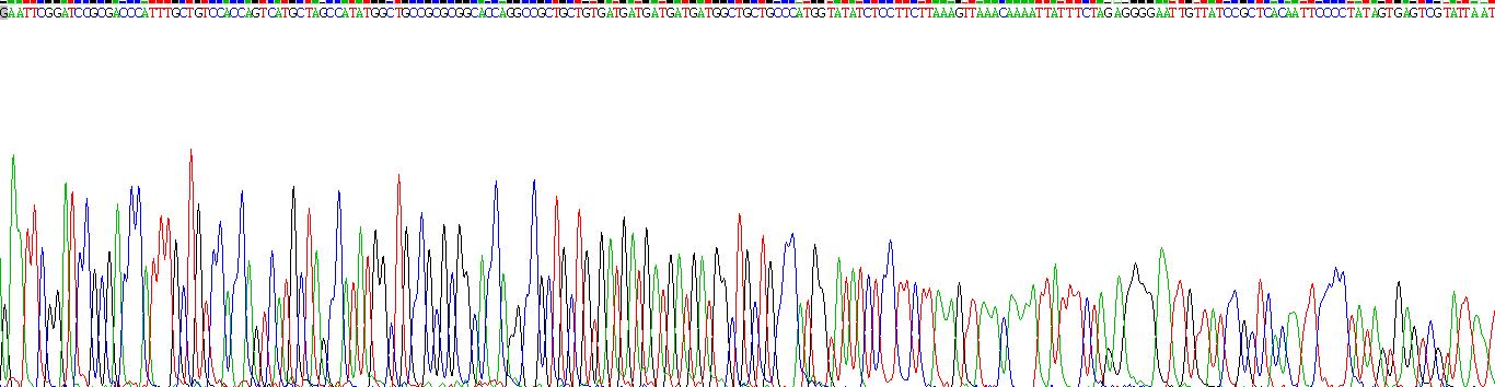 干扰素α(IFNa)重组蛋白