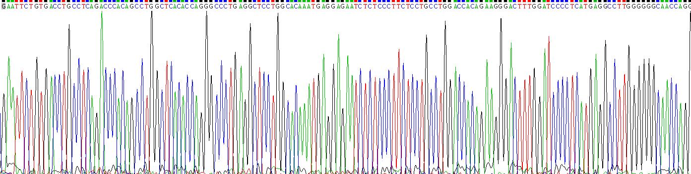 干扰素α(IFNa)重组蛋白