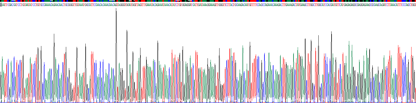 肝细胞生长因子(HGF)重组蛋白