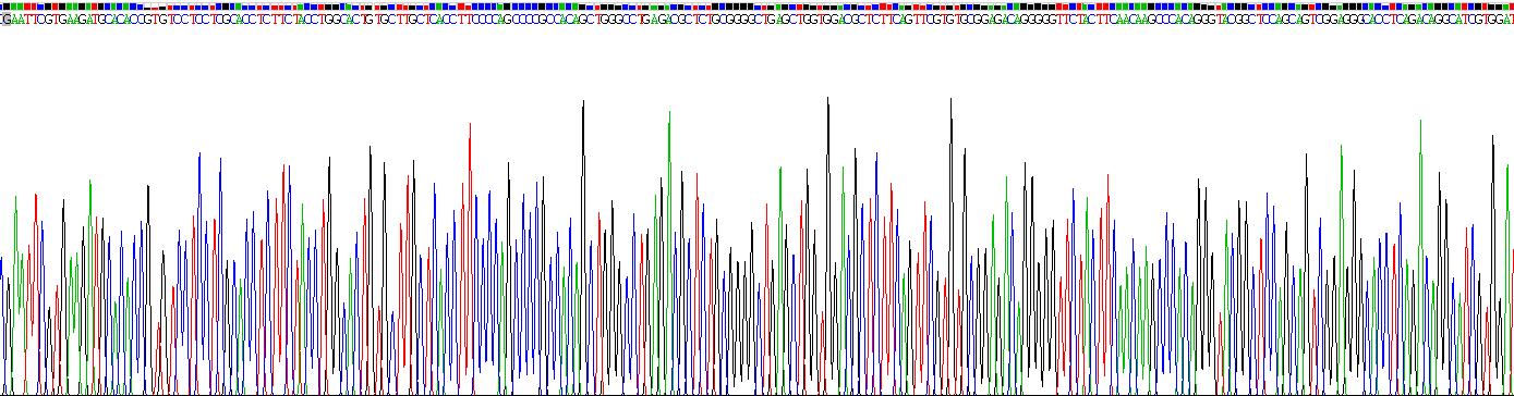 胰岛素样生长因子1(IGF1)重组蛋白