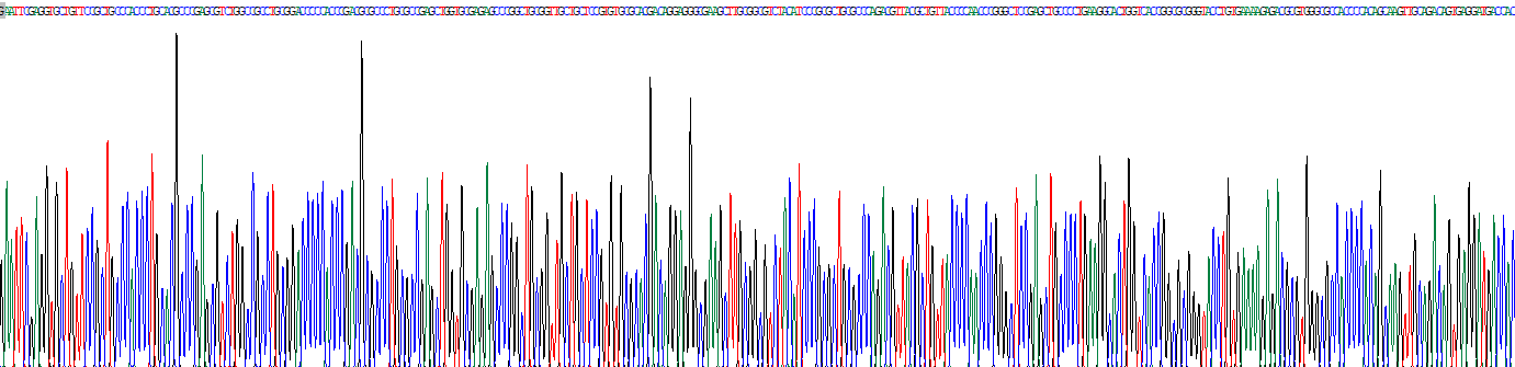 胰岛素样生长因子结合蛋白2(IGFBP2)重组蛋白