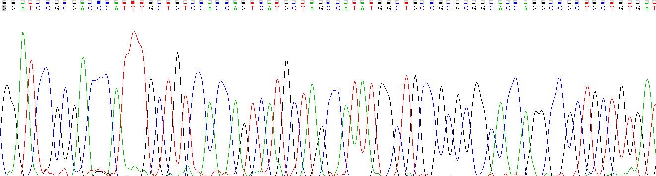胰岛素样生长因子结合蛋白4(IGFBP4)重组蛋白
