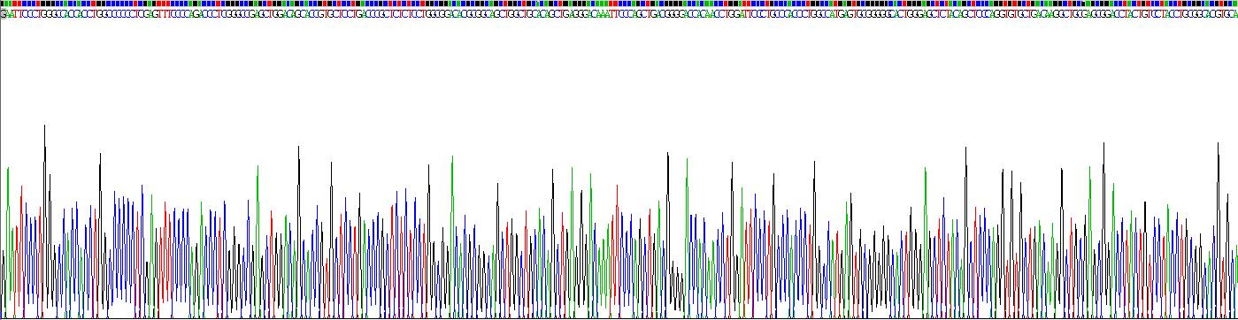 白介素11(IL11)重组蛋白
