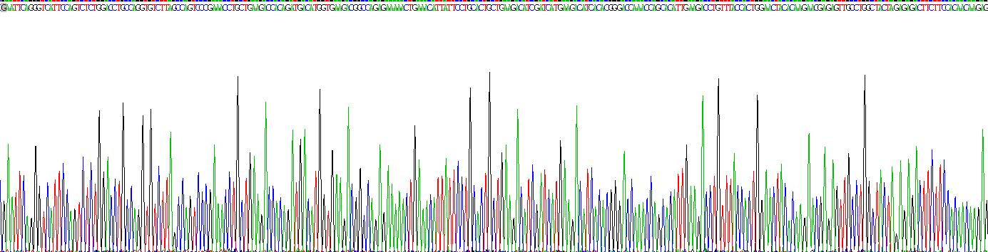 白介素12A(IL12A)重组蛋白