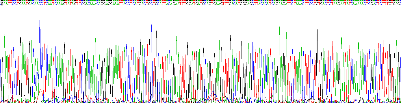 白介素1α(IL1a)重组蛋白