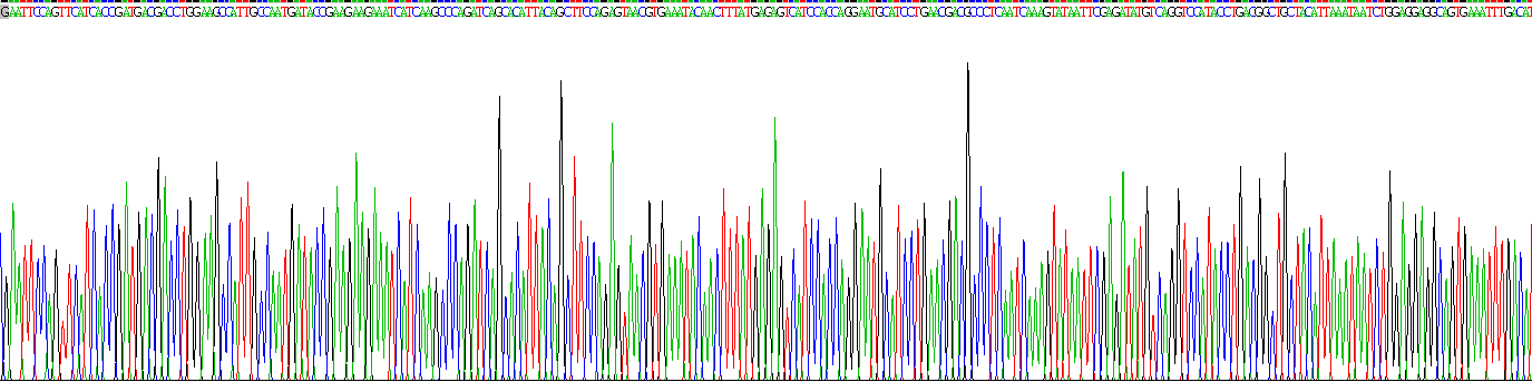 白介素1α(IL1a)重组蛋白