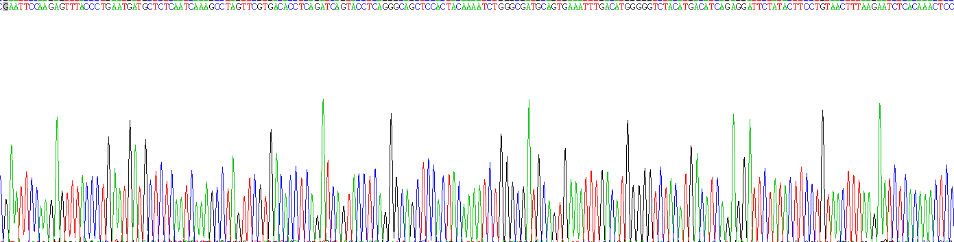 白介素1α(IL1a)重组蛋白