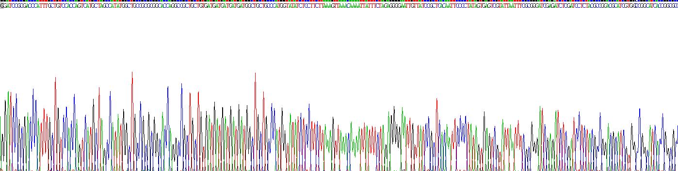白介素4(IL4)重组蛋白