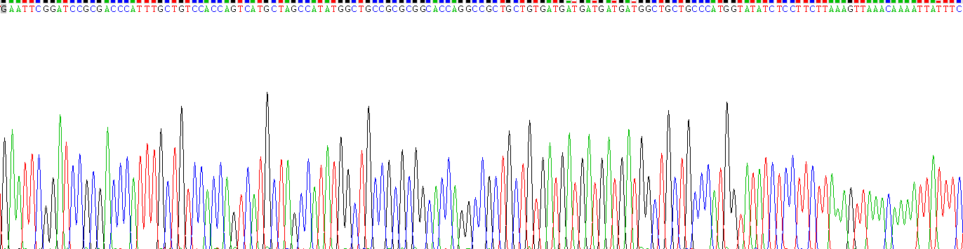 白介素5(IL5)重组蛋白