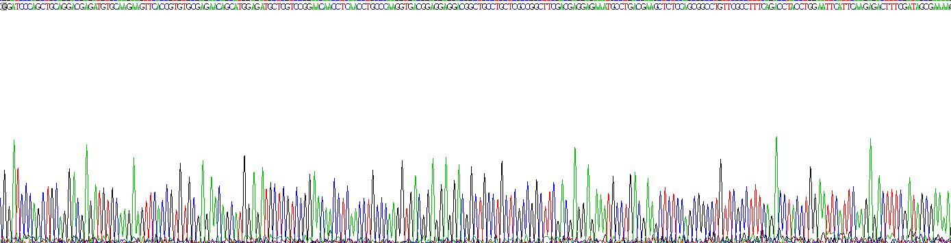白介素6(IL6)重组蛋白
