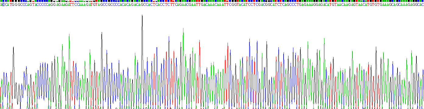 白介素6(IL6)重组蛋白