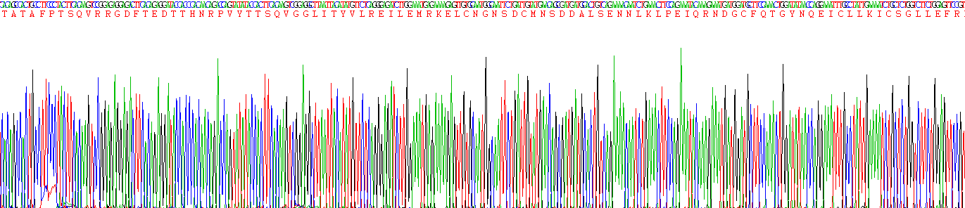 白介素6(IL6)重组蛋白