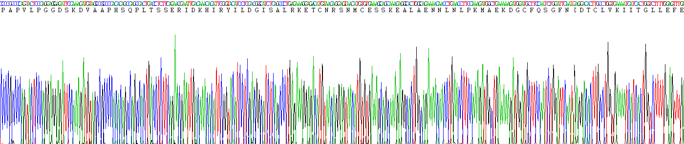 白介素6(IL6)重组蛋白