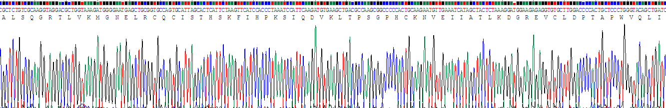白介素8(IL8)重组蛋白