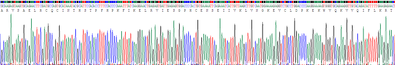 白介素8(IL8)重组蛋白