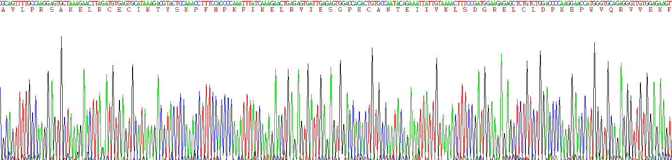 白介素8(IL8)重组蛋白