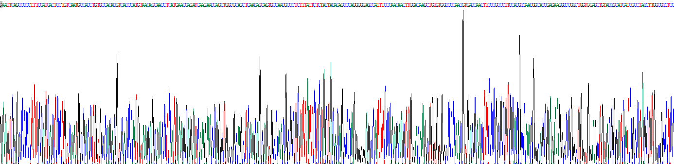 白血病抑制因子(LIF)重组蛋白
