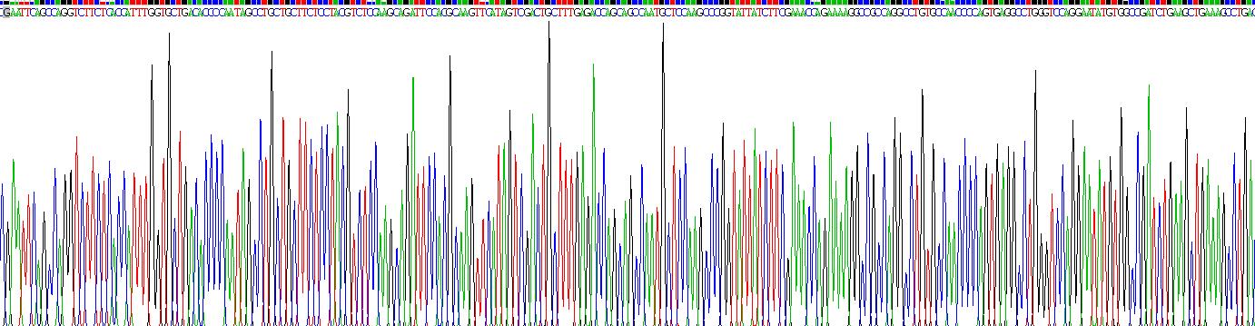 巨噬细胞炎性蛋白1α(MIP1a)重组蛋白