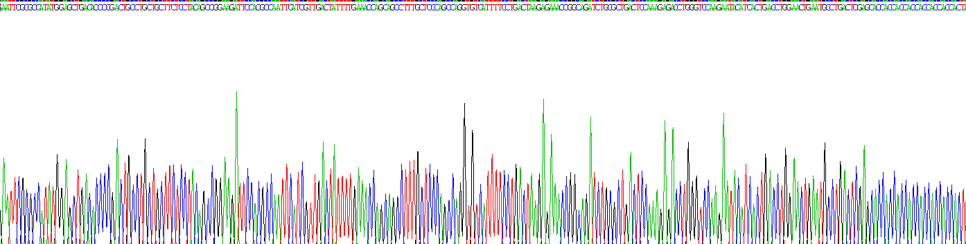 巨噬细胞炎性蛋白1α(MIP1a)重组蛋白
