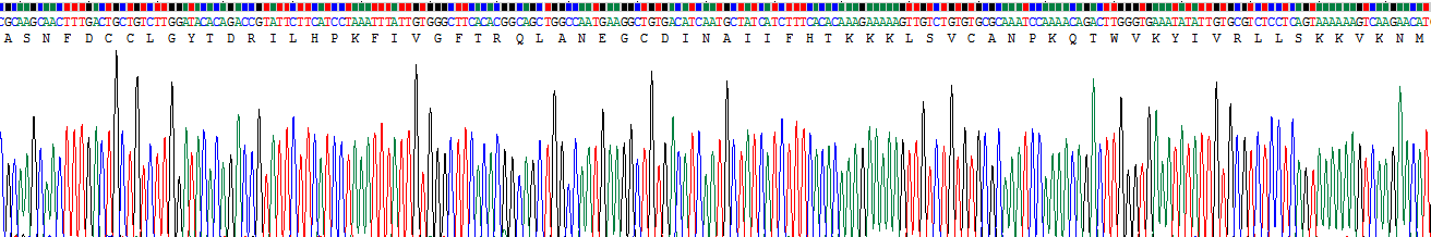巨噬细胞炎性蛋白3α(MIP3a)重组蛋白