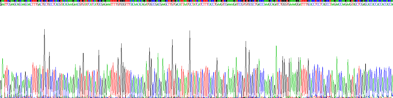 巨噬细胞炎性蛋白3α(MIP3a)重组蛋白