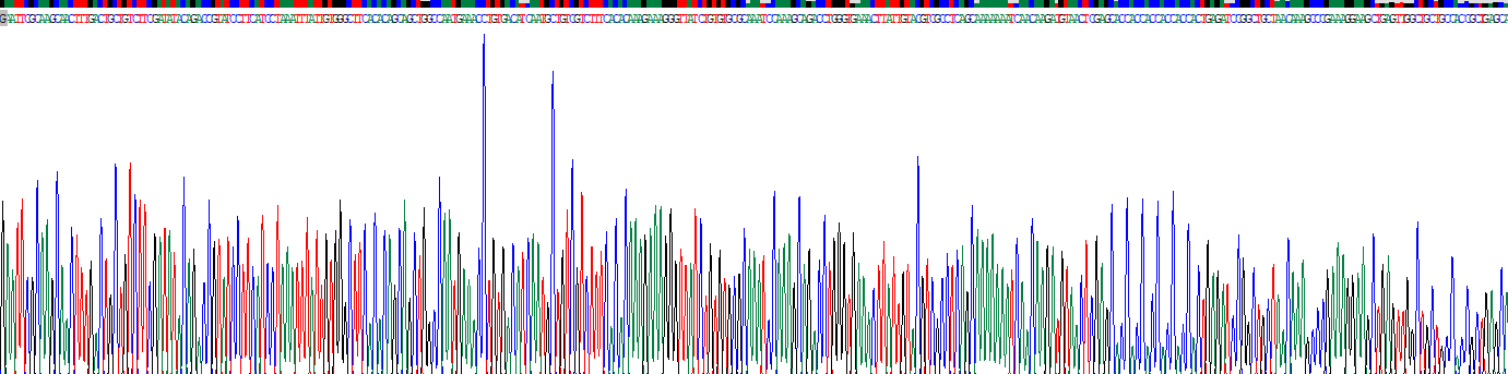 巨噬细胞炎性蛋白3α(MIP3a)重组蛋白