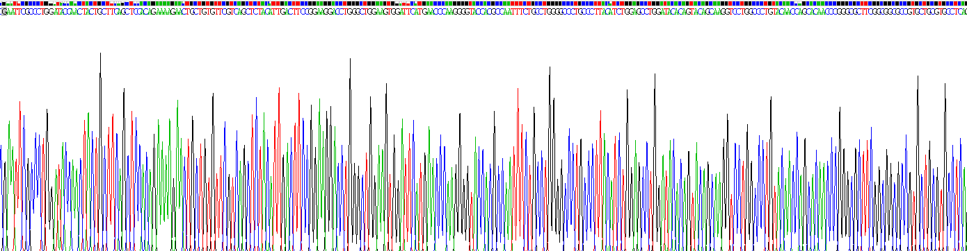转化生长因子β1(TGFb1)重组蛋白