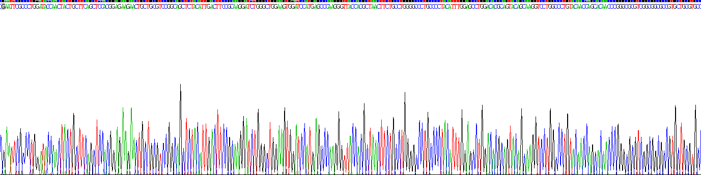 转化生长因子β1(TGFb1)重组蛋白