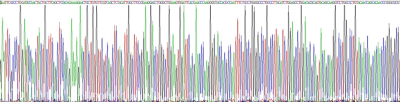 转化生长因子β1(TGFb1)重组蛋白
