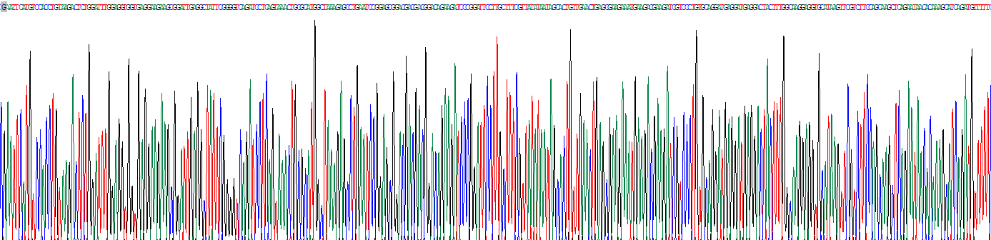 转化生长因子β1(TGFb1)重组蛋白