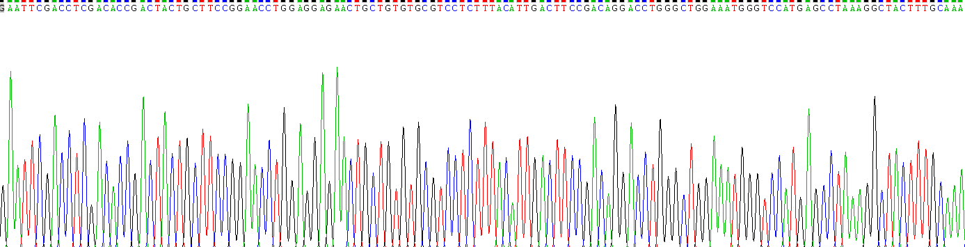 转化生长因子β1(TGFb1)重组蛋白