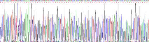 转化生长因子β1(TGFb1)重组蛋白