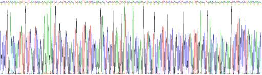 转化生长因子β1(TGFb1)重组蛋白