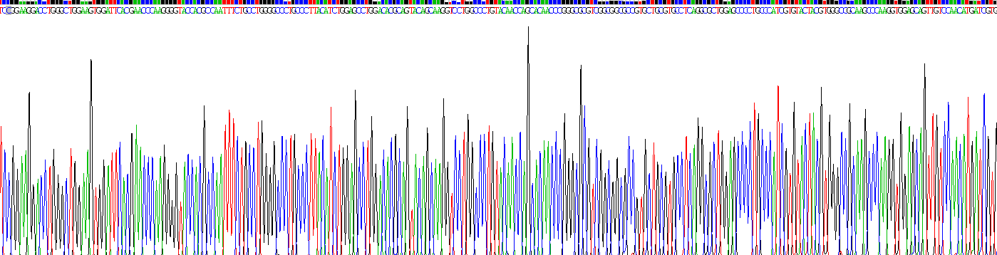 转化生长因子β1(TGFb1)重组蛋白