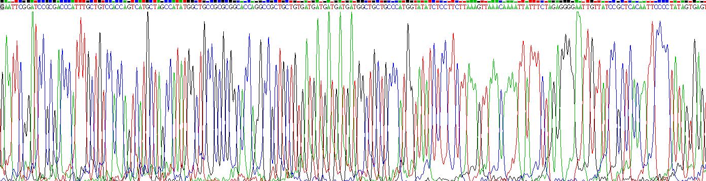 肿瘤坏死因子α(TNFa)重组蛋白