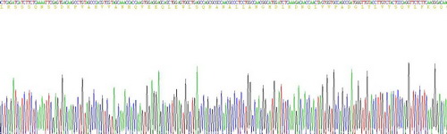 肿瘤坏死因子α(TNFa)重组蛋白