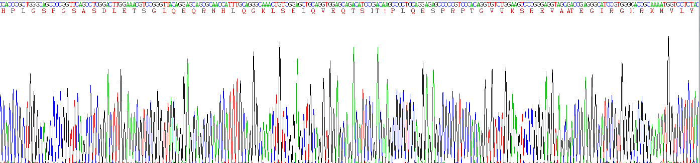 肿瘤坏死因子α(TNFa)重组蛋白