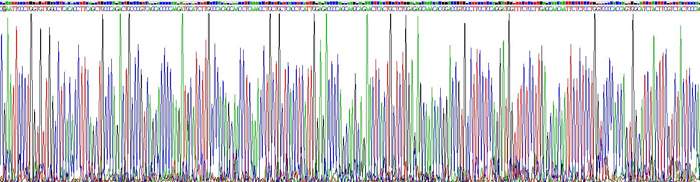 肿瘤坏死因子β(TNFb)重组蛋白