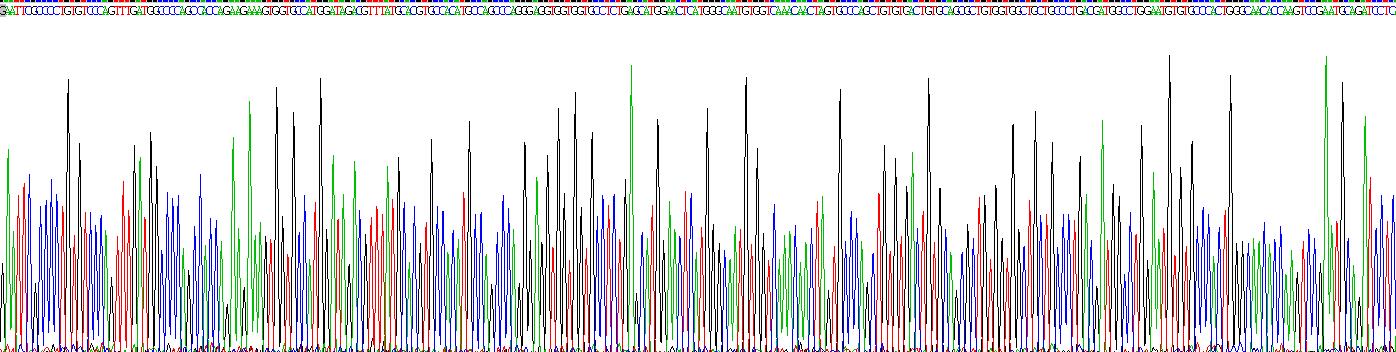 血管内皮生长因子B(VEGFB)重组蛋白