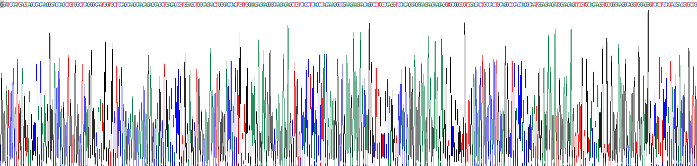 脂聯(lián)素受體1(ADIPOR1)重組蛋白