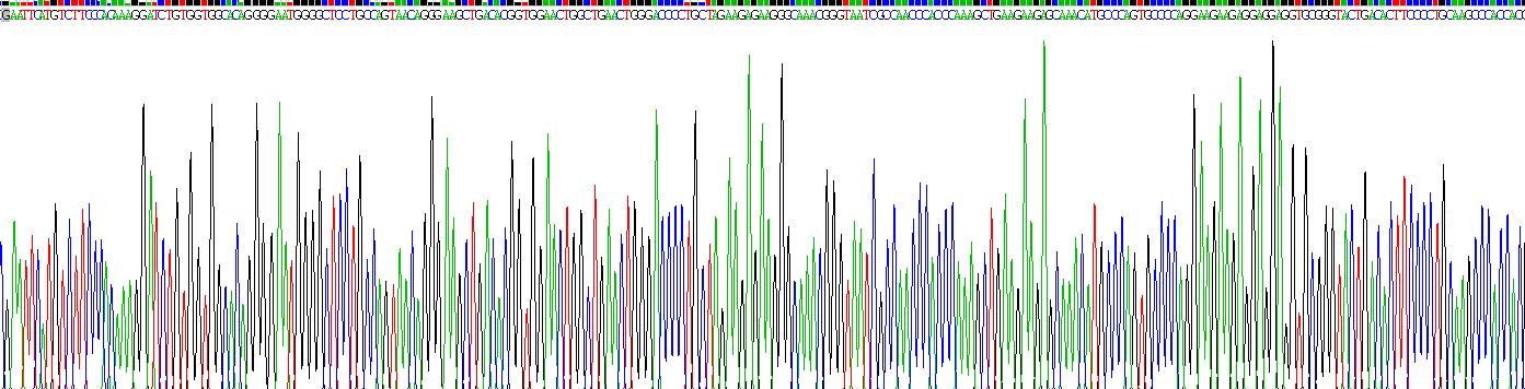 脂聯(lián)素受體1(ADIPOR1)重組蛋白