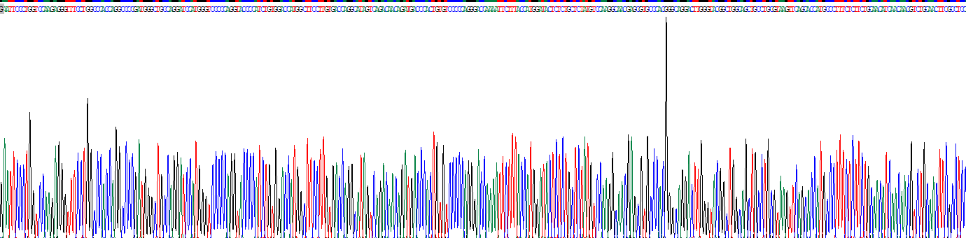 Ⅳ型胶原α1(COL4a1)重组蛋白