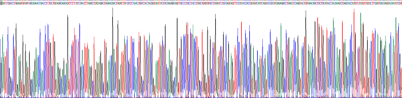 激活素B(ACVB)重组蛋白