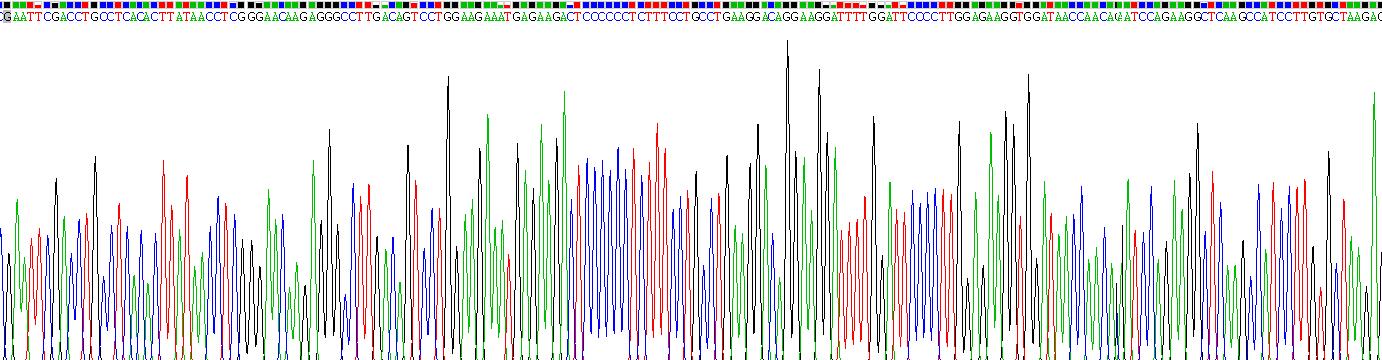 干扰素α4(IFNa4)重组蛋白
