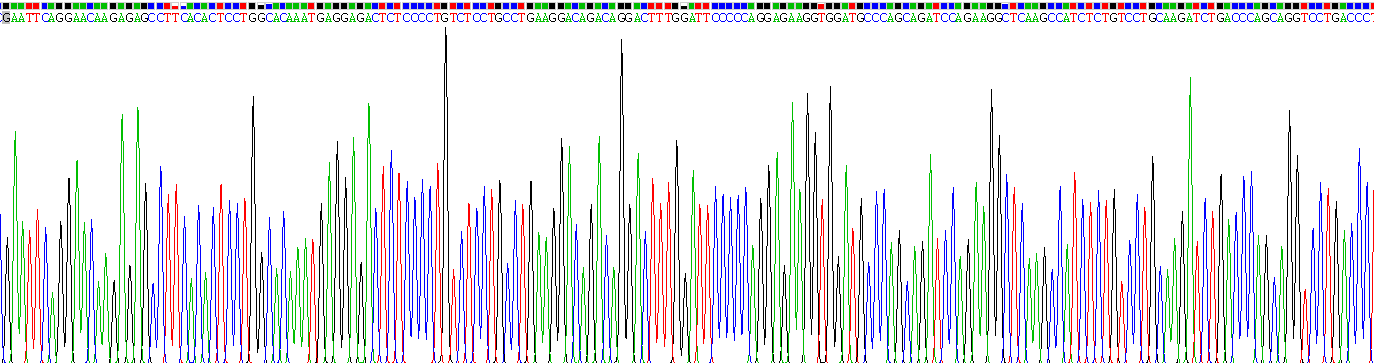 干扰素α4(IFNa4)重组蛋白
