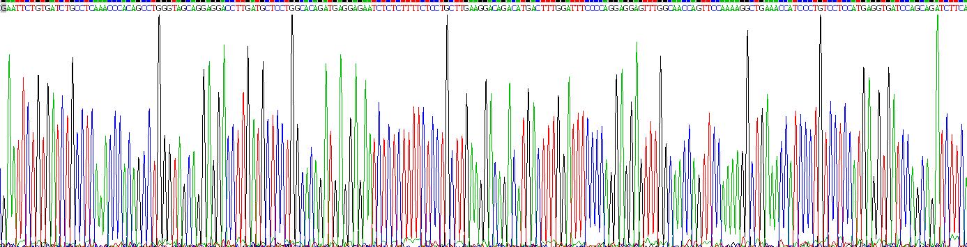 干扰素α2(IFNa2)重组蛋白