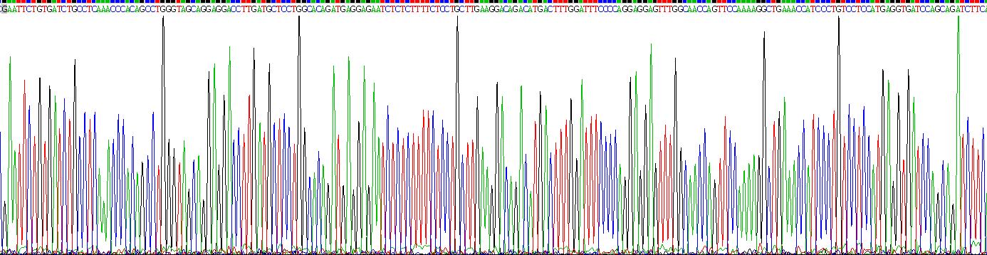 干扰素α2(IFNa2)重组蛋白