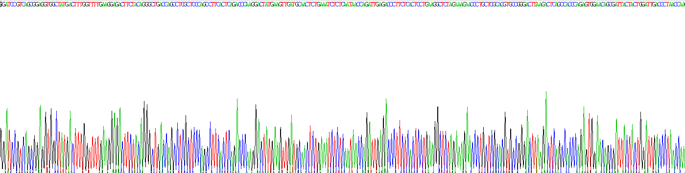 Ⅰ型胶原α2(COL1a2)重组蛋白