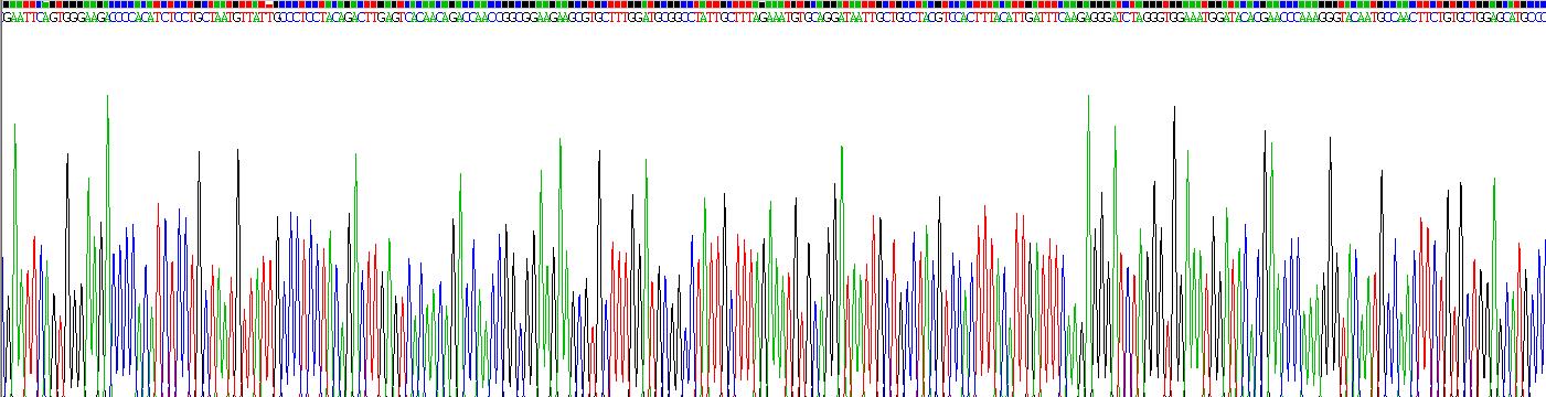 转化生长因子β2(TGFb2)重组蛋白